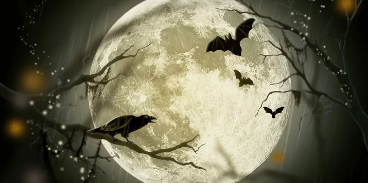 Los signos del zodiaco y la luna - Horoscopo-gratis.net